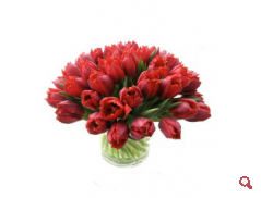 Tulipán csokor